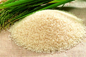 糙米