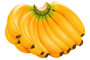香蕉