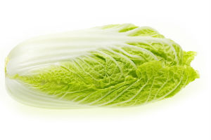 青口白菜