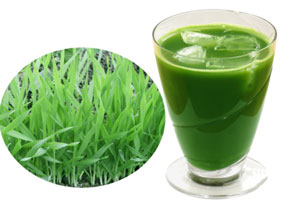 大麦嫩芽汁