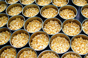 罐头玉米