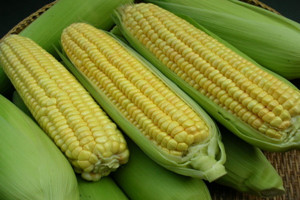 甜玉米