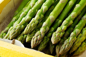 芦笋