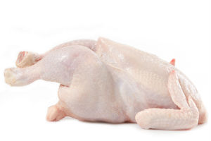 鸡肉