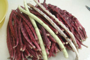 红豇豆