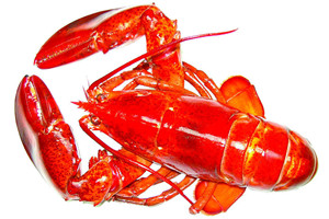 龙虾