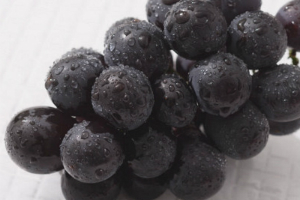 紫葡萄